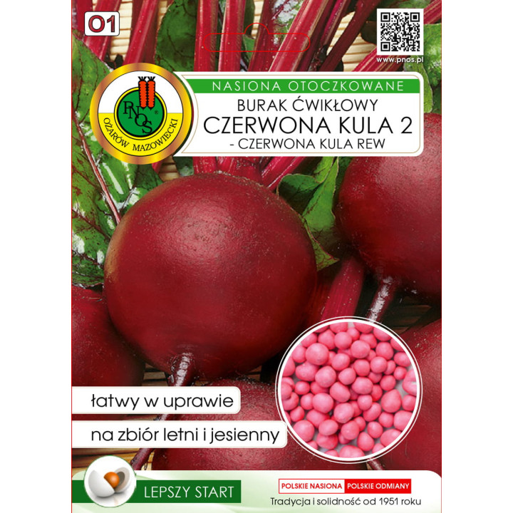 BURAK ĆWIKŁOWY CZERWONA KULA 2 - CZERWONA KULA REW 100z OTOCZKA
