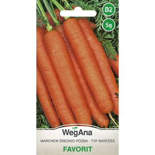 Marchew jadalna - typ Nantess Favorit 5g
