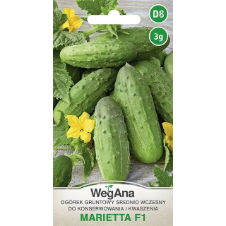 Ogórek konserwowy - gruntowy Marieta F1 3g