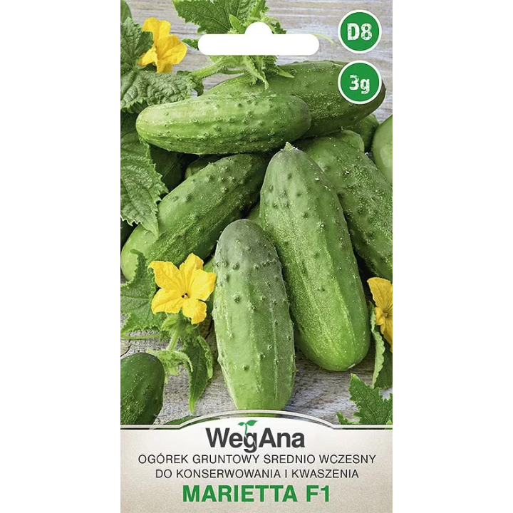Ogórek konserwowy - gruntowy Marieta F1 3g