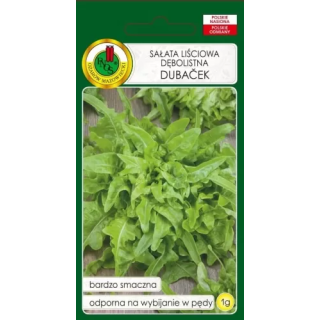 SAŁATA DĘBOLISTNA LIŚCIOWA DUBACEK 1g