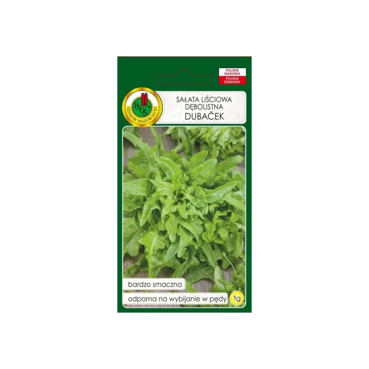 SAŁATA DĘBOLISTNA LIŚCIOWA DUBACEK 1g