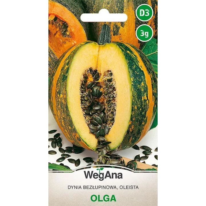Dynia zwyczajna - bezłupinowa Olga 3g