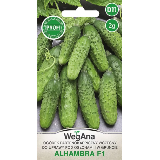Ogórek konserwowy - partenokarpiczny Alhambra F1 2g
