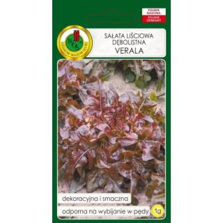 SAŁATA DĘBOLISTNA CZERWONA VERALA 1g