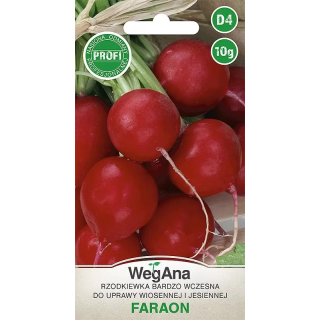 Rzodkiewka Faraon 10g okrągła, czerwona WegAna