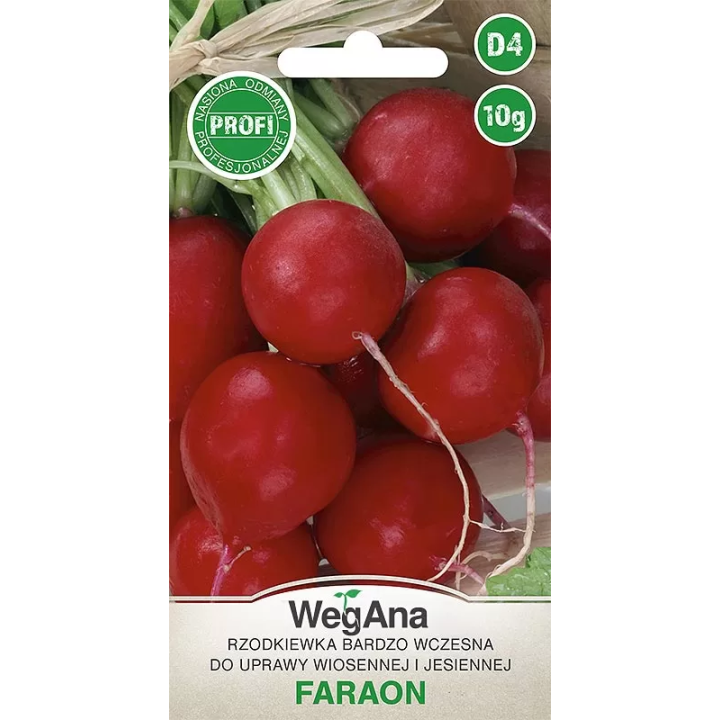 Rzodkiewka Faraon 10g okrągła, czerwona WegAna