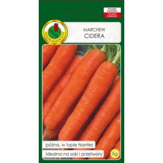 MARCHEW JADALNA CIDERA 5g