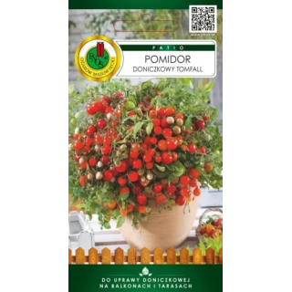 POMIDOR DONICZKOWY TOMFALL 0,3g