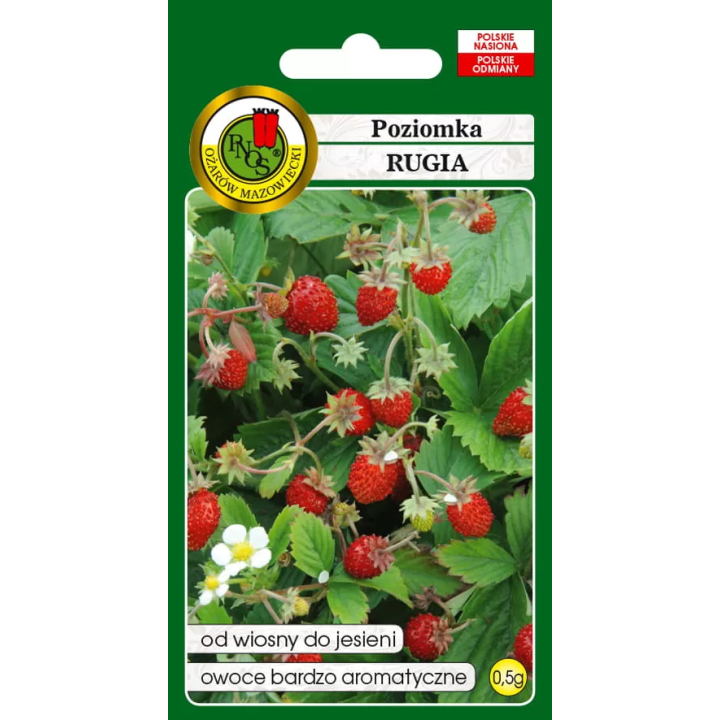 Poziomka Rugia 0,5g