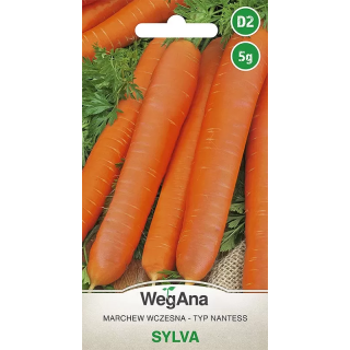 Marchew jadalna - typ Nantess Sylvia 5g