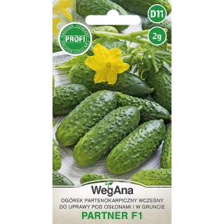 Ogórek konserwowy -  partenokarpiczny Partner F1 2g