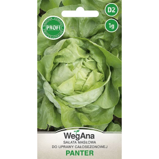 SAŁATA GŁOWIASTA MASŁOWA PANTER 1g całosezonowa