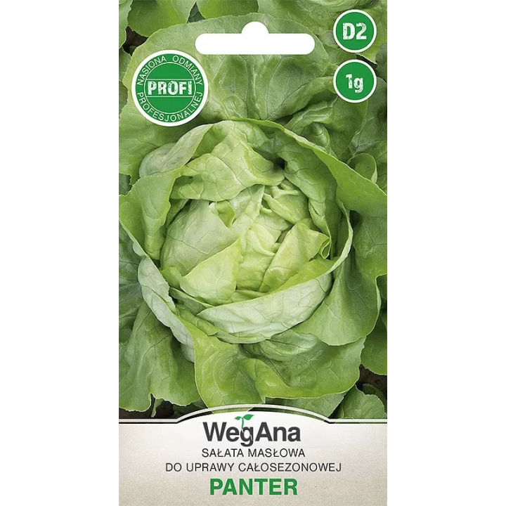 SAŁATA GŁOWIASTA MASŁOWA PANTER 1g całosezonowa