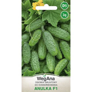 Ogórek konserwowy - gruntowy Anulka F1 3g