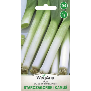 Por Starozagorski Kamus 1g - do zbiorów letnich