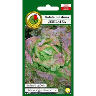 SAŁATA GŁOWIASTA MASŁOWA JUBILATKA 1g