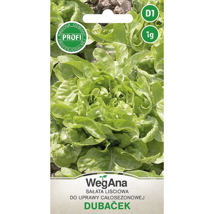 Sałata - liściowa do całosezonowej uprawy Dubacek 1g