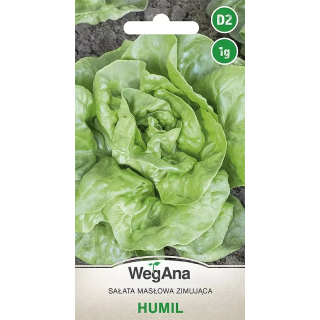Sałata - masłowa zimująca Humil 1g