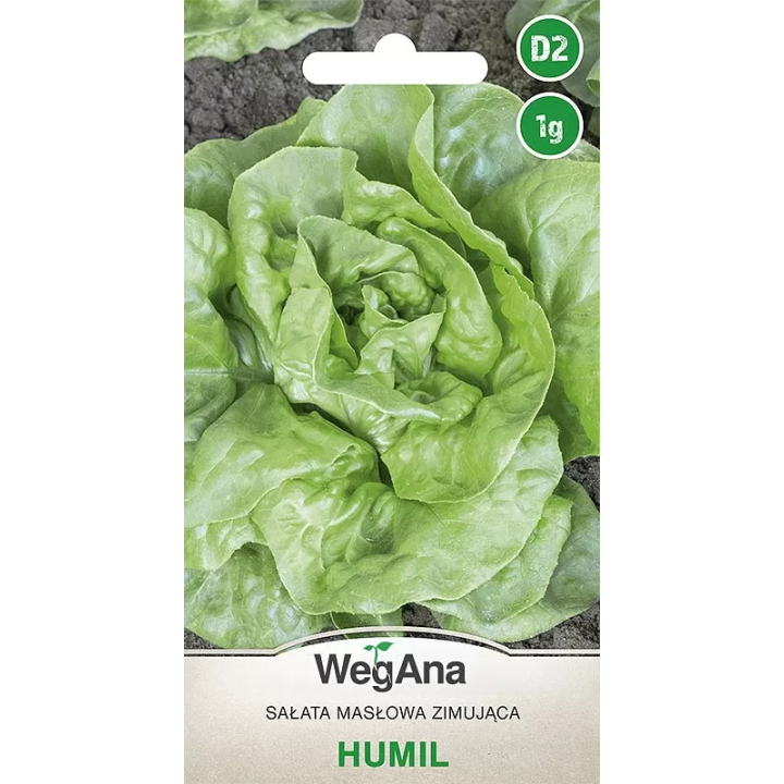 Sałata - masłowa zimująca Humil 1g