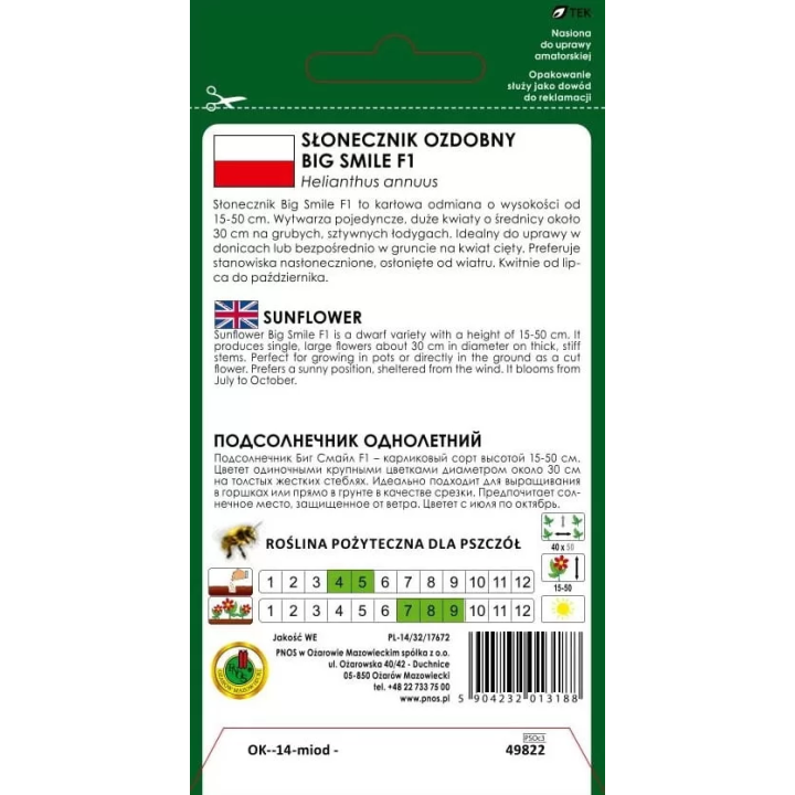 SŁONECZNIK BIG SMILE F1 20z