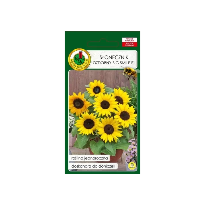 SŁONECZNIK BIG SMILE F1 20z