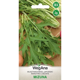 Mizuna Japoński szpinak musztardowy 2g