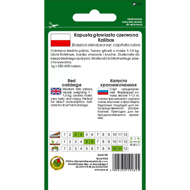 Kapusta czerwona Kalibos