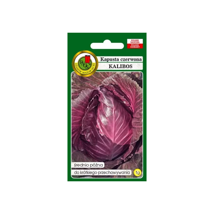 Kapusta czerwona Kalibos