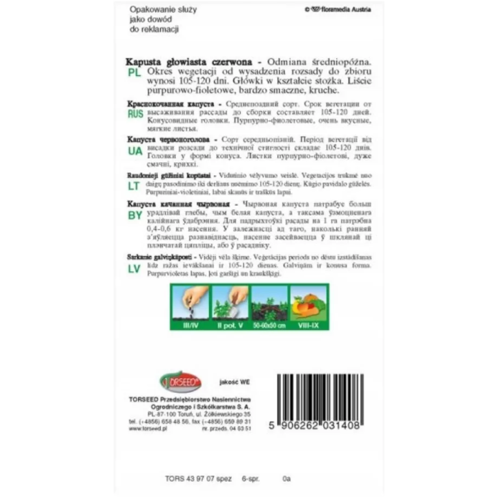 Kapusta głowiasta czerwona Kalibos 0,5g stożkowa