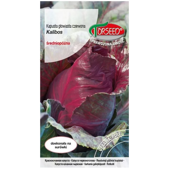 Kapusta głowiasta czerwona Kalibos 0,5g stożkowa