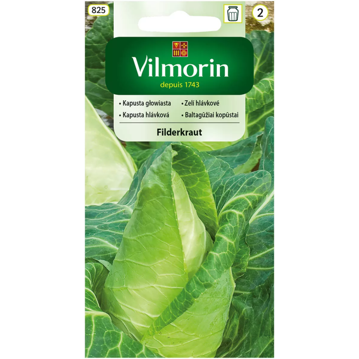Kapusta głowiasta biała, stożkowa FILDERKRAUT 2g