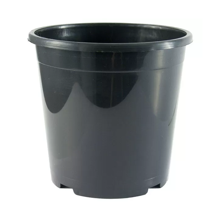 DONICZKA PRODUKCYJNA 1L, SBX FI 13