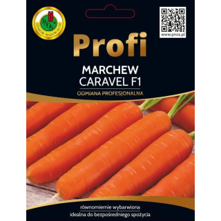 Marchew CARAVEL F1 2g