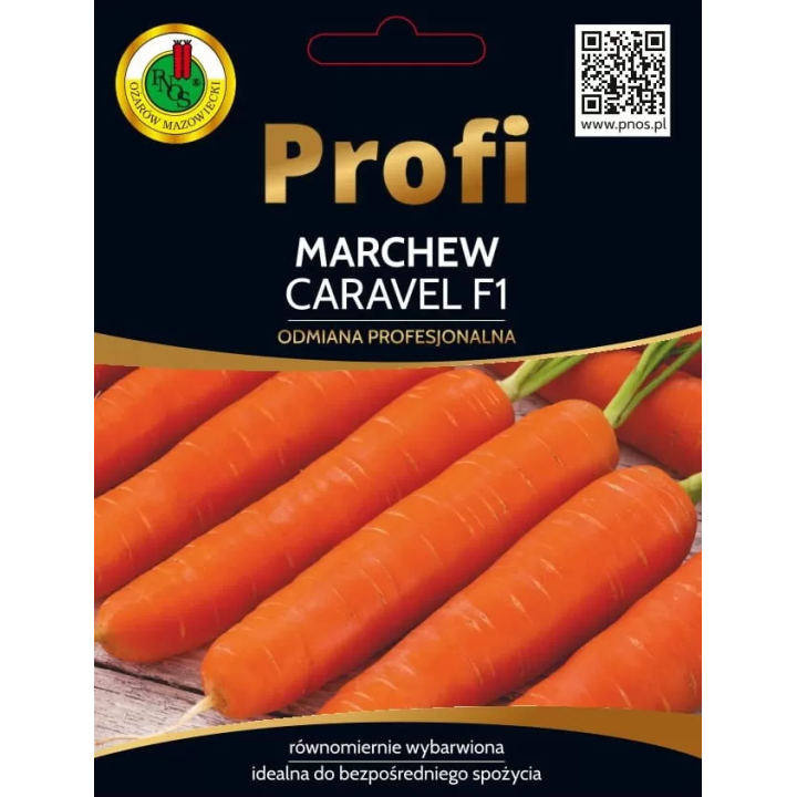 Marchew CARAVEL F1 2g