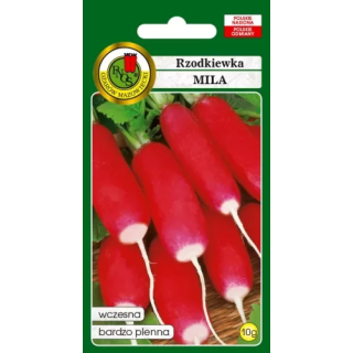 RZODKIEWKA MILA 10g podłużna z białym końcem