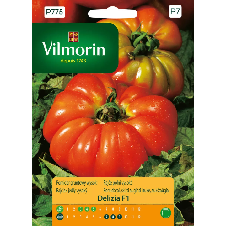 Pomidor gruntowy i pod osłony, wysoki, żebrowane o