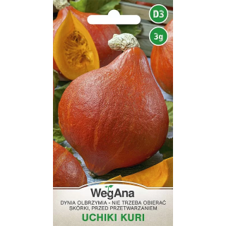 Dynia olbrzymia Uchiki Kuri 3g