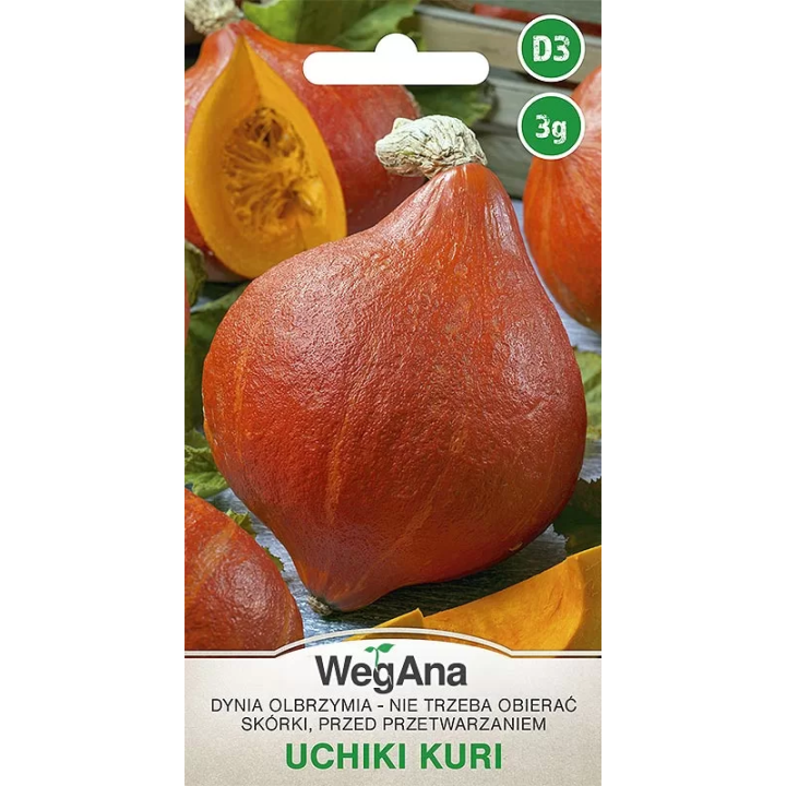 Dynia olbrzymia Uchiki Kuri 3g