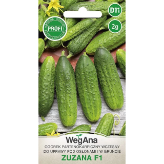 Ogórek konserwowy -  partenokarpiczny Zuzana F1 2g