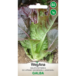 Sałata - rzymska do wiosennej i jesiennej uprawy Galba 1g