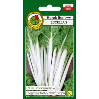 Burak liściowy Lucullus 5g