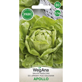 Sałata Apollo 0,5g - masłowa pod osłony do wiosennej uprawy