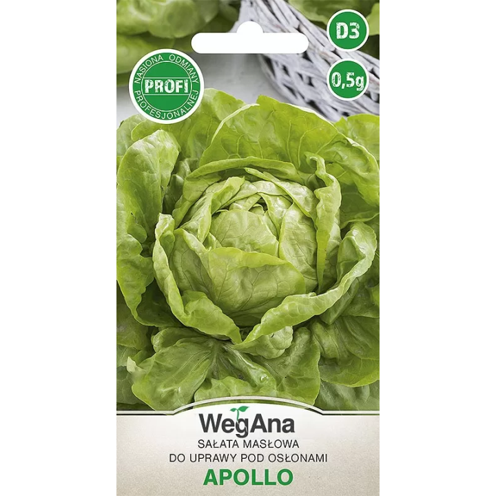 Sałata Apollo 0,5g - masłowa pod osłony do wiosennej uprawy