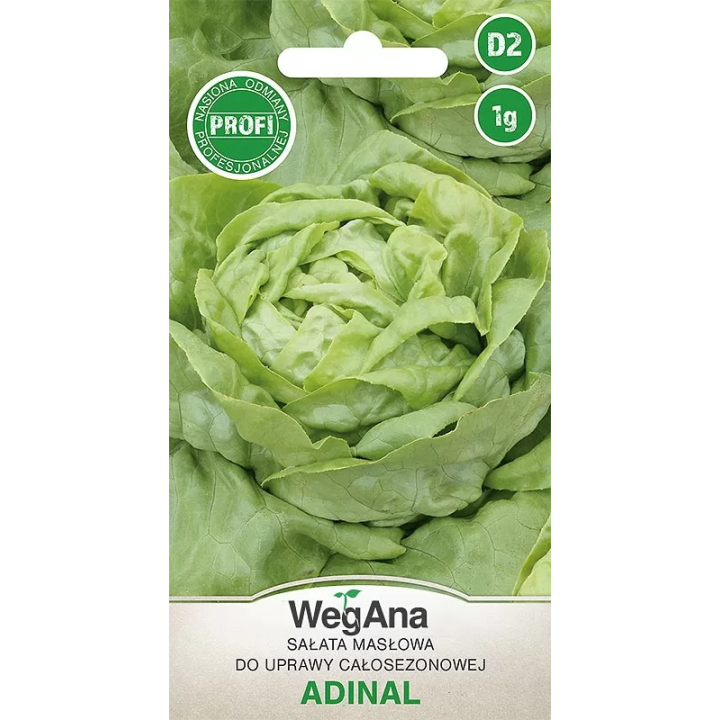 Sałata Adinal 1g - masłowa do całosezonowej uprawy