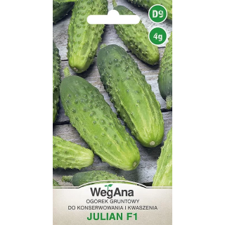 Ogórek konserwowy - gruntowy Julian F1 4g