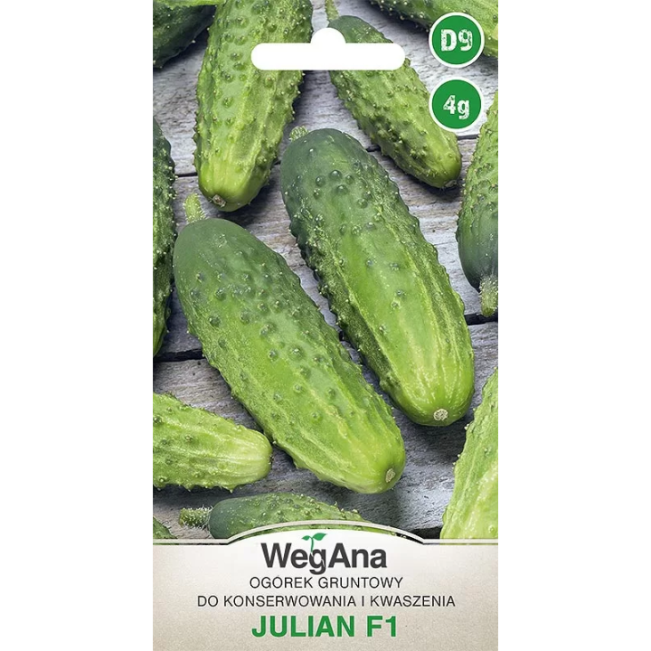 Ogórek konserwowy - gruntowy Julian F1 4g