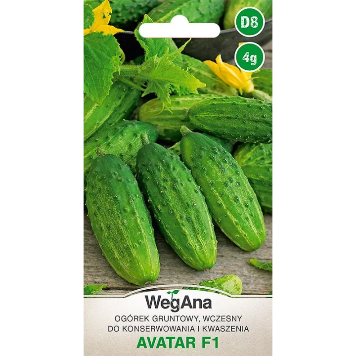 Ogórek konserwowy - gruntowy Avatar F1 4g