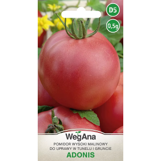 Pomidor - wysoki malinowy, do tunelu i gruntu Adonis 0,5g