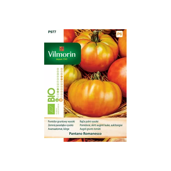 Pomidor PONTANO ROMANESCO 0,5g gruntowy i pod osłony, wysoki, czerwony 